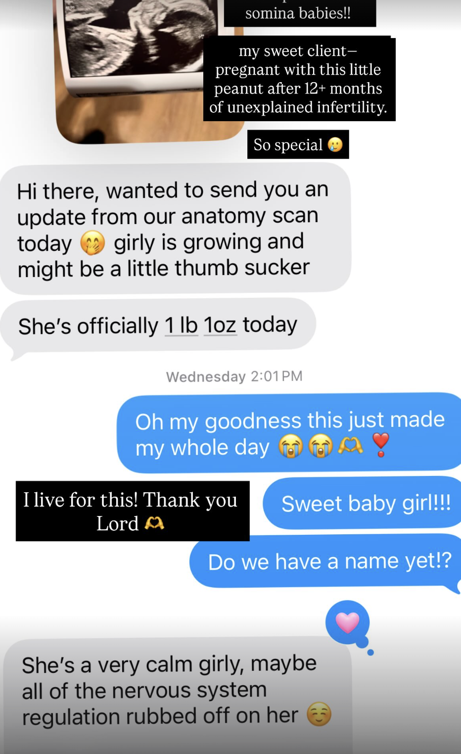 Client message: pregnant with her little peanut after 12+ months of unexplained infertility, healthy anatomy scan update